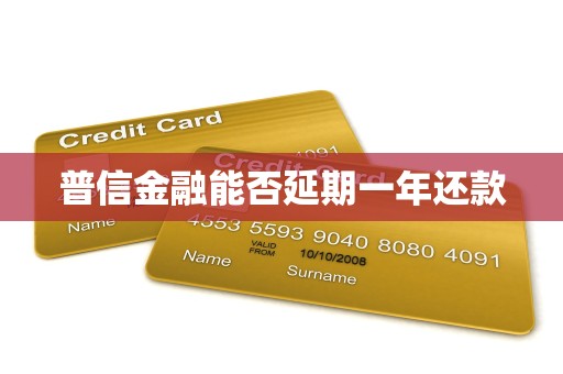 普信金融能否延期一年还款