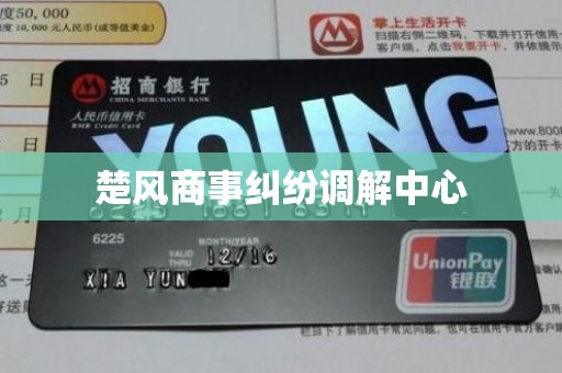 楚风商事纠纷调解中心