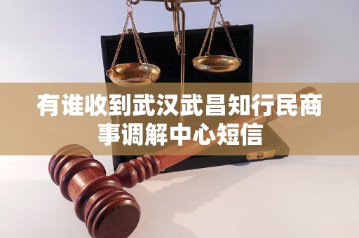 有谁收到武汉武昌知行民商事调解中心短信