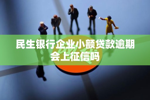 民生银行企业小额贷款逾期会上征信吗
