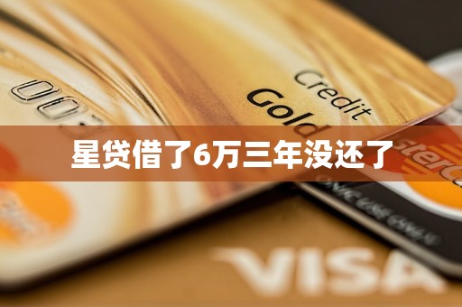 星贷借了6万三年没还了