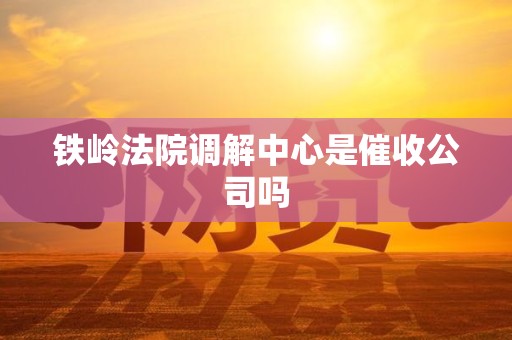 铁岭法院调解中心是催收公司吗