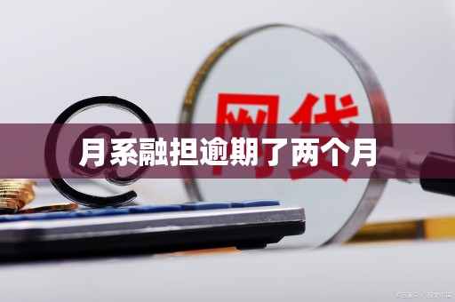月系融担逾期了两个月