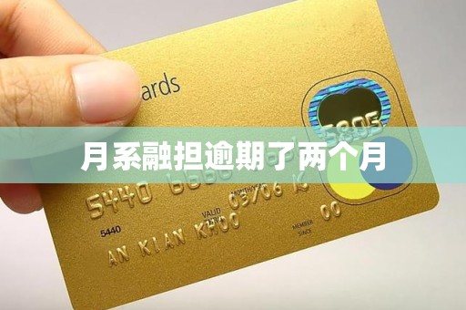月系融担逾期了两个月