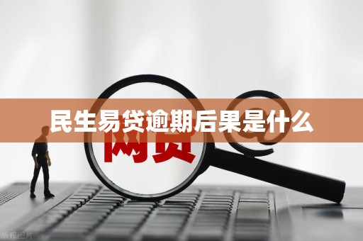 民生易贷逾期后果是什么