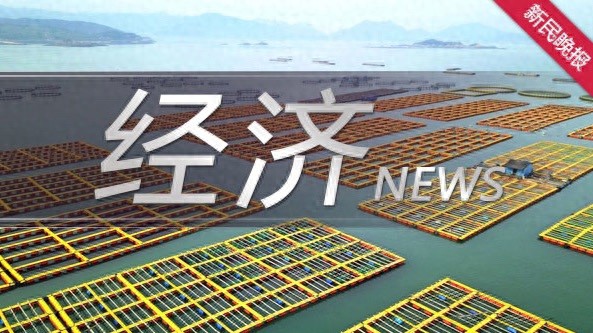 社会组织如何助推科技生态？这场研讨会提出构建“上海范式”