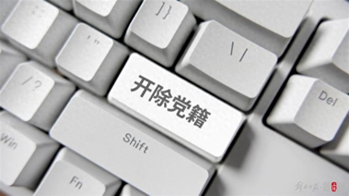 赵小凡，携带有严重政治问题的书籍入境并私藏阅看，被开除党籍