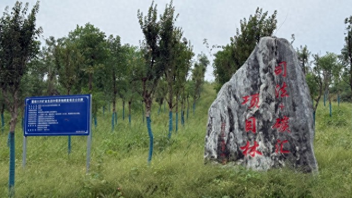 千亿市场不要了？卖空气解开“只干一票”的魔咒，这次长三角看安徽的