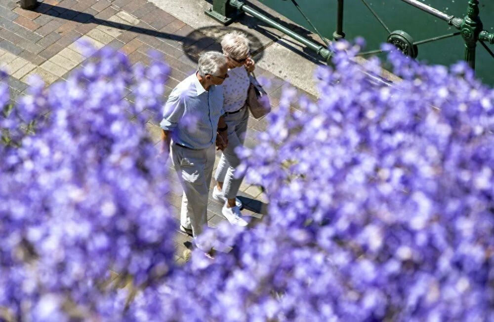 别说自己老了，大脑功能或60岁时达巅峰