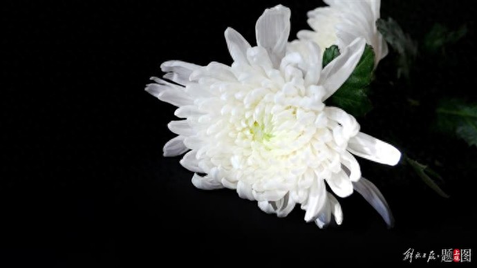 杨振宁夫人翁帆发文：他交出了一份满意的答卷