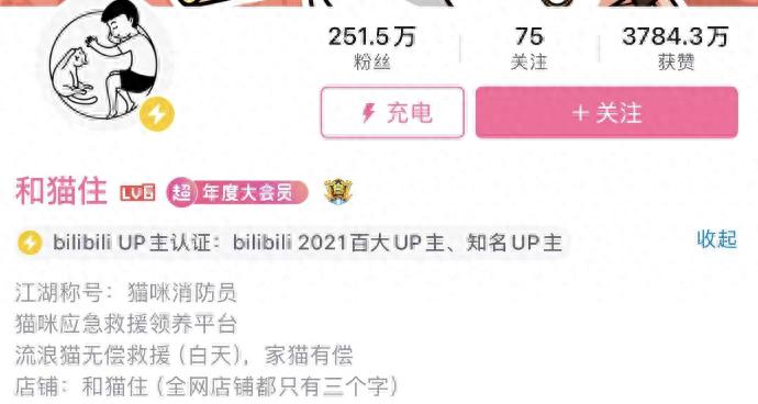 对话“90后猫咪消防员”：9年救助5万只流浪猫！曾被骂摆拍、作秀，目前处于欠债状态