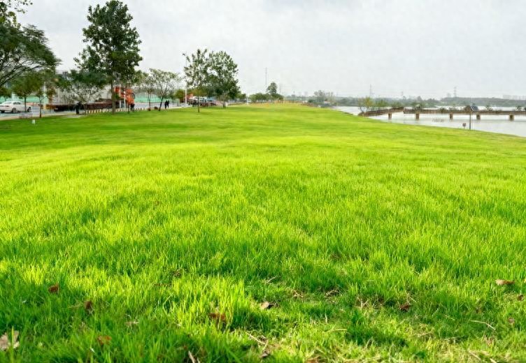 显山露水透绿，小米智能家电旁新添一片好风景