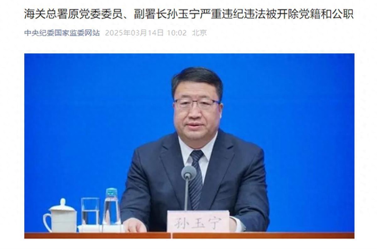 极目政情|中央巡视后落马，副部级“老虎”孙玉宁被逮捕