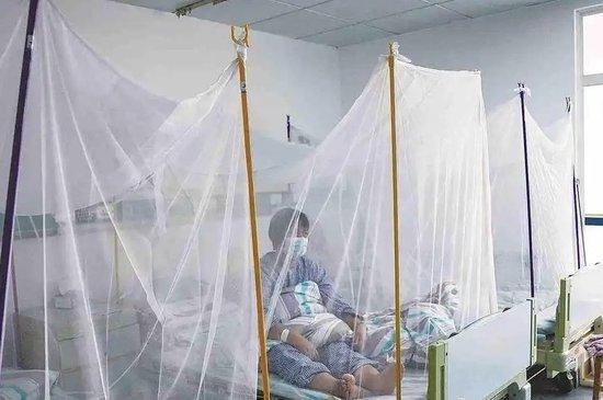 基孔肯雅热为何在我国南方部分地区传播较快？张文宏解答