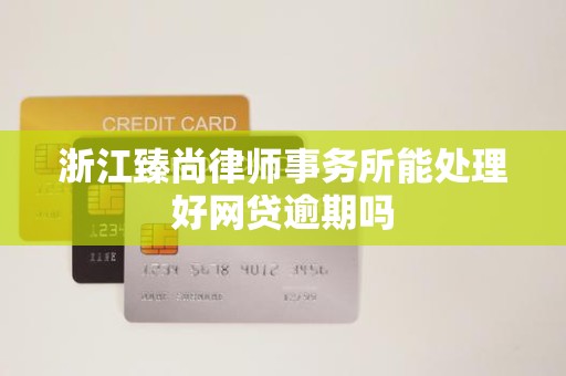 浙江臻尚律师事务所能处理好网贷逾期吗