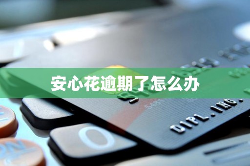 安心花逾期了怎么办