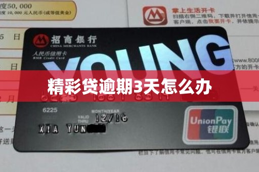 精彩贷逾期3天怎么办