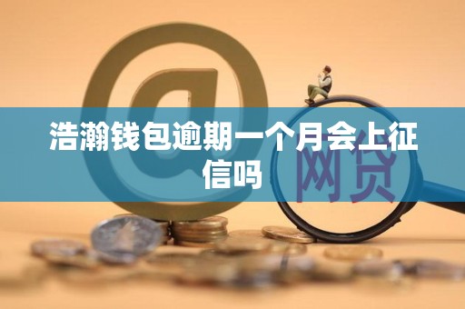 浩瀚钱包逾期一个月会上征信吗