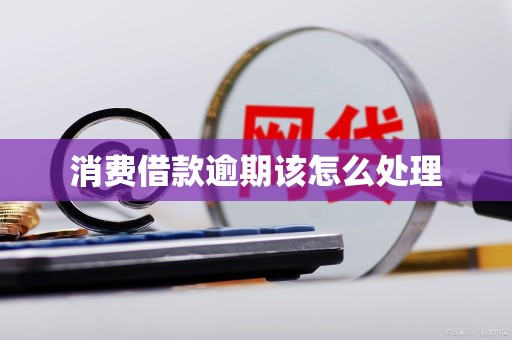 消费借款逾期该怎么处理