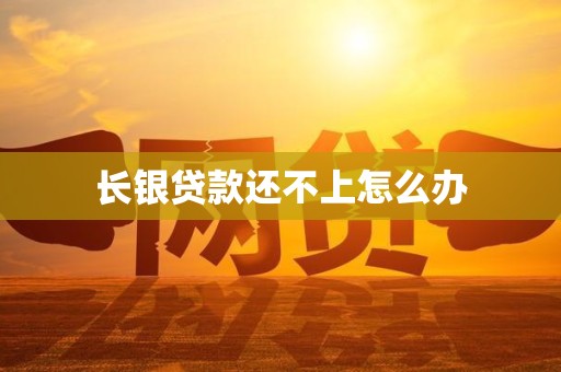 长银贷款还不上怎么办