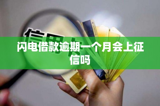 闪电借款逾期一个月会上征信吗