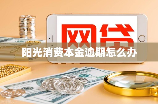 阳光消费本金逾期怎么办