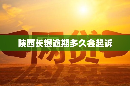 陕西长银逾期多久会起诉