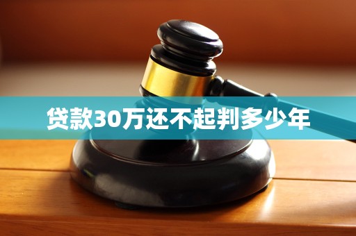 贷款30万还不起判多少年