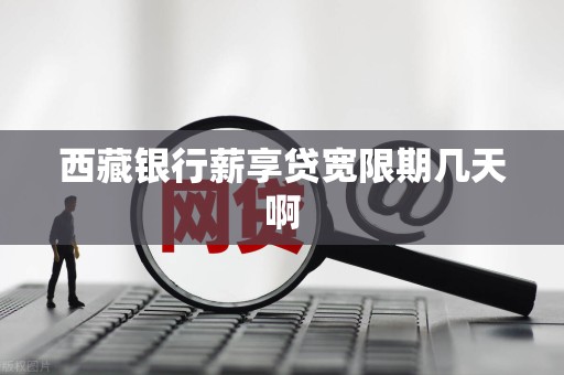西藏银行薪享贷宽限期几天啊