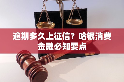 逾期多久上征信？哈银消费金融必知要点