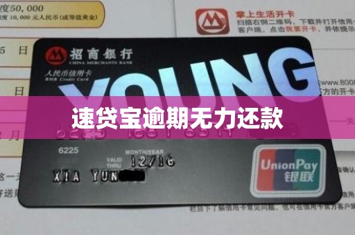 速贷宝逾期无力还款