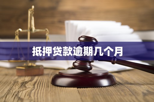 抵押贷款逾期几个月