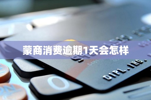 蒙商消费逾期1天会怎样