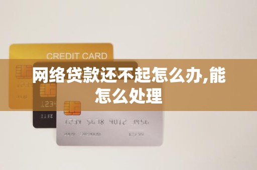 网络贷款还不起怎么办,能怎么处理