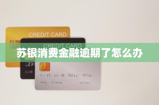 苏银消费金融逾期了怎么办