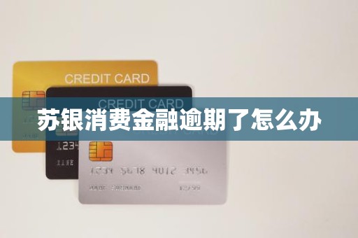 苏银消费金融逾期了怎么办