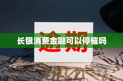 长银消费金融可以停催吗