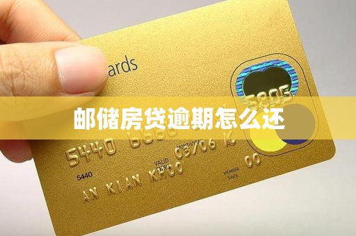 邮储房贷逾期怎么还