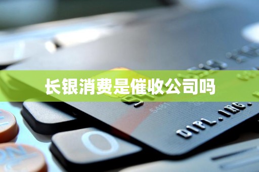 长银消费是催收公司吗