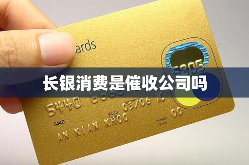 长银消费是催收公司吗