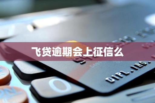 飞贷逾期会上征信么