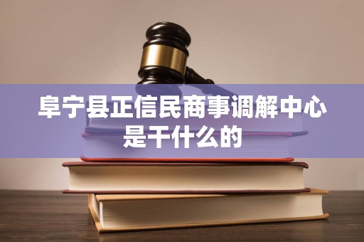 阜宁县正信民商事调解中心是干什么的