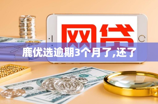 鹿优选逾期3个月了,还了