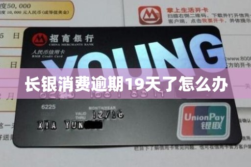 长银消费逾期19天了怎么办